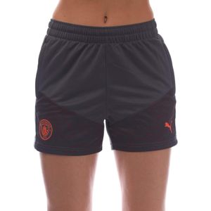 Puma Heren Manchester City 2023-24 Trainingsshort (Grijs)