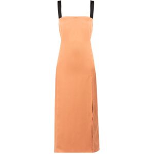 Pinko jurk Macadamia Vrouw bruin