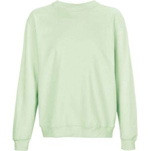 SOLS Columbia Unisex Sweatshirt voor volwassenen (Romig groen)