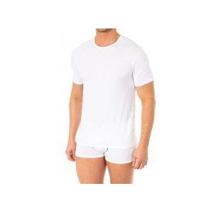 Heren-T-shirt met korte mouwen en ronde hals A0DGP. Dagelijks comfort en stijl.