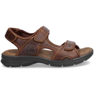 Salton Basics - Leren Herensandalen - Bruin