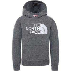 The North Face Unisex Kids Drew Peak Borduur Hoodie Grijs - Maat XS