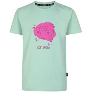 Dare 2B Trailblazer Luipaard T-shirt Voor Kinderen/Kinderen (Grijze Jade) - Maat 9-10J / 134-140cm