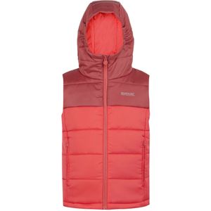 Regatta Kinder/Kinder Lofthouse II Gilet (Mineraal Rood/Rode Hemel)