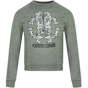 Roberto Cavalli Lynx Mogogram print logo grijs sweatshirt