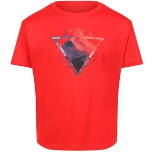 Regatta Kinderen/Kinderen Alvarado VI Berg T-shirt (Vuurrood) - Maat 9-10J / 134-140cm