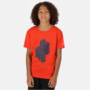 Regatta Kinderen/Kinderen Alvardo V Grafisch T-Shirt (Amberkleurige Gloed) - Maat 9-10J / 134-140cm