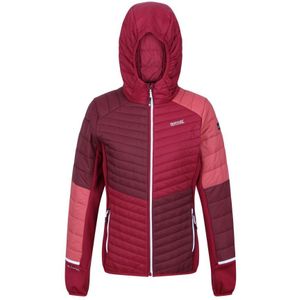 Regatta Dames/Dames Trutton II Baffled Hooded Jacket (Bourgogne/Rumba-rood)