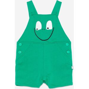 Babyjongen Groene Kikker Overalls