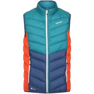 Regatta Heren Harrock Body Warmer (Pacific Groen/Admiraal Blauw) - Maat L