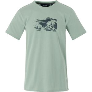Regatta Heren Cline IX Strand T-Shirt (Gletsjer)
