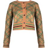 Pinko Cardigan Passito Vrouw groen