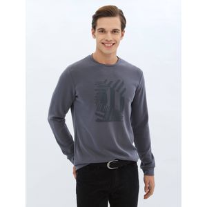 Sweatshirt met ronde hals en print