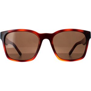 Salvatore Ferragamo SF959S 214 tortoise bruin zonnebril