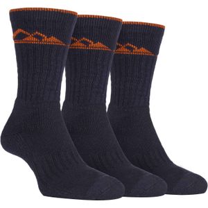 Set van 3 herensokken met kussen, rijk aan katoen - SBMS030CHA