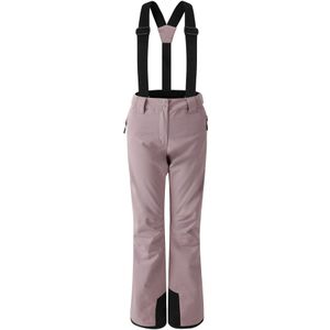 Dare 2B Dames/Dames Diminish geïsoleerde skibroek (Heide)