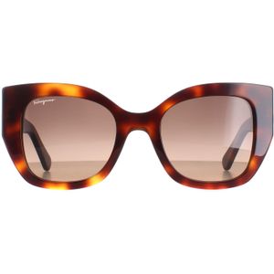 Salvatore Ferragamo - SF1045S-238 - Zonnebril - Bruin - Ø 51 mm