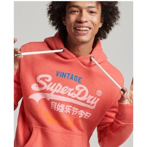 Superdry Driekleurige Vintage Logo hoodie