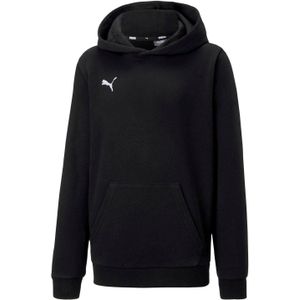 Puma Heren TeamGoal 23 Casuals Hoodie (Zwart)