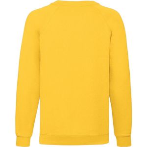 Fruit of the Loom Klassiek Raglan Sweatshirt voor kinderen/Kinderen (Koningsblauw)