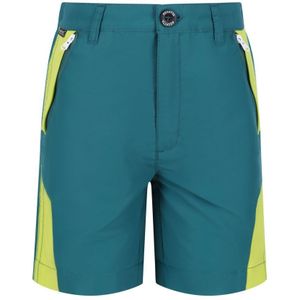 Regatta Sorcer II Bergshorts Voor Kinderen/Kinderen (Pacific Groen/helder Kiwi) - Maat 11-12J / 146-152cm