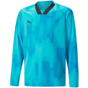 Puma Kinderen Teamtarget Langsleeve Doelman Shirt (Blauw)