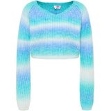 myMo - Biany - Gebreide Trui - Pasteltinten