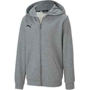 Puma - TeamGOAL 23 - Casuals Hooded Jacket - Grijs