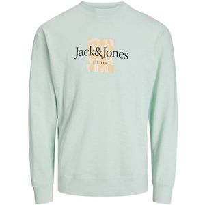 Jack & Jones junior sweatshirt