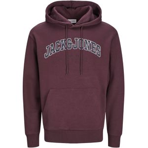 Jack & Jones hoodie