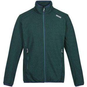 Regatta Great Outdoors - Heren Torrens Full Zip Fleece Vest (Pacifisch Groen) - Maat S