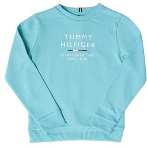 Boy's Tommy Hilfiger Logo Crew Neck Sweatshirt In Turquoise - Maat 8J / 128cm