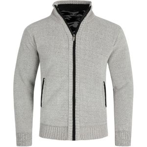 Herenvest met rits en opstaande kraag, gevoerde grofgebreide trui lichtgrijs