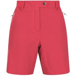 Regatta Dames/Dames Berg II Korte Broek (Rethink Roze) - Maat 40