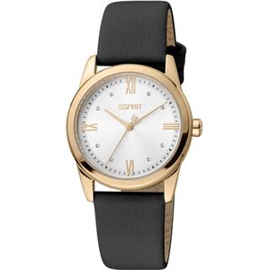 Esprit Watch ES1L217L1045