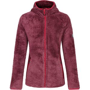 Dare 2B Dames/Dames Torrek Mountain Pro Midlayer (Afb.)