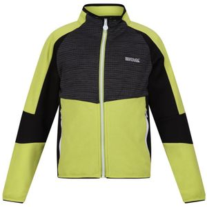 Regatta Kinder/Kinder Oberon VII Marl Full Zip Fleecejack (Groene algen/zwart)