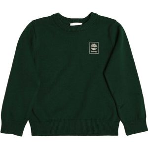 Boy's Timberland Juniors Kintted Cotton Jumper in Green