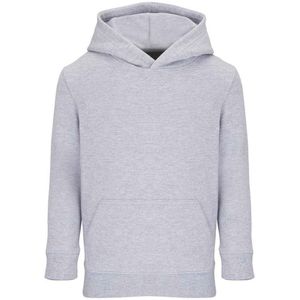 SOLS Kinder/Kinder Condor Hoodie (Grijze Mergel)