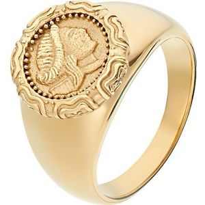NOELANI Signet ring voor dames, roestvrij staal, munt