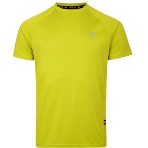 Dare 2B Heren Versnellen Lichtgewicht T-shirt (Algen Groen)