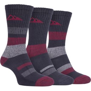 Set van 3 lichtgewicht katoenen wandelsokken voor heren - SBMS031CHA