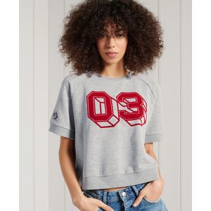 Superdry Collegiate T-shirt Van Sweatstof Met Kleurvlakken - Dames - Maat 40