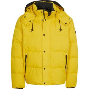 Calvin Klein - Jassen - Groen