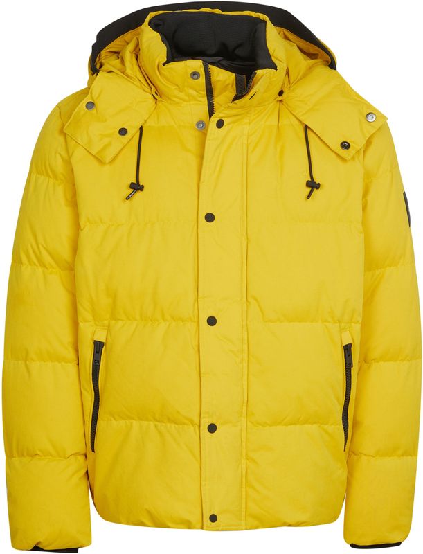 Calvin Klein - Jassen - Groen