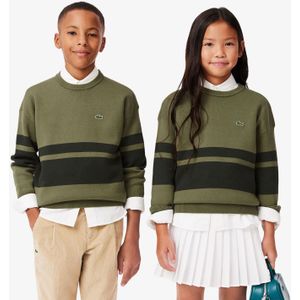 Boy's Lacoste Juniors Striped Sweatshirt in Green