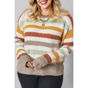 Gestreepte Pullover Trui