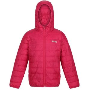 Regatta Childrens/Kids Hillpack Hooded Jacket (Bessenroze)