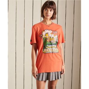 Superdry Oversized Mountain T-shirt