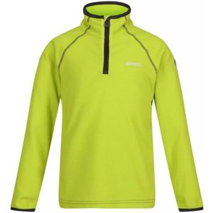 Regatta Kinderen/Kinderen Loco Fleece (Heldere kiwi/citronella)